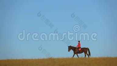 在野外骑着马的女人。 慢动作。 侧视图