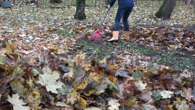 一堆模糊的叶子和女人的腿在胶靴里用<strong>耙子</strong>耙树叶。 4K