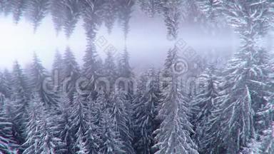 用镜面效果抽象出两片雪山森林的空中景观.. 动画。 超现实颠倒镜像世界，赢