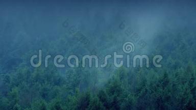 夜晚的薄雾笼罩森林