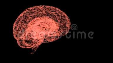 脑功能和活动的概念.. 脑全息图漂浮在空间中，大脑的每个部分都有自己的功能。