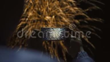 一个人在夜空中拍摄烟花的剪影。 美丽的<strong>敬礼</strong>，以纪念节日。