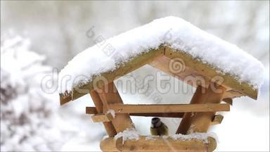 雪，落在鸟舍上的雪花，喂鸟器，特写，冬天