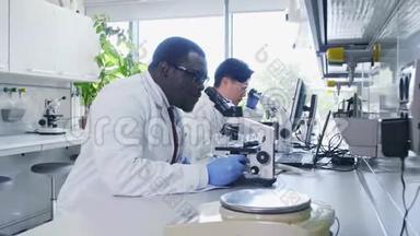 在实验室工作的科学家。 做医学研究的医生。 实验室工具：显微镜、试管、设备