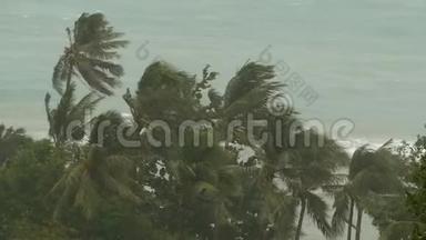 自然灾害飓风期间的海滨景观。 强烈的旋风<strong>吹拂</strong>椰子树。 热带风暴