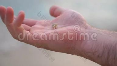 在海洋的背景下，一个人手里拿着一只小螃蟹。