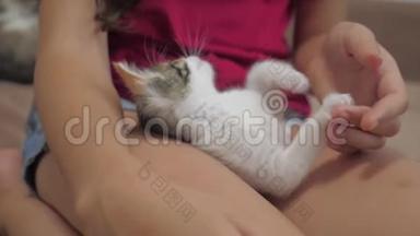 小猫坐在小女孩的腿上慢动作<strong>视频</strong>.. 女孩和小猫的<strong>友谊</strong>。 女孩生活方式