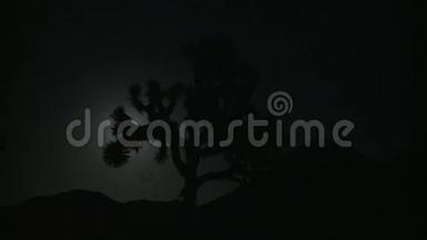 月亮穿过约书亚树的夜晚