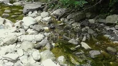 山间的小溪流.. 岩石之间清澈的小溪