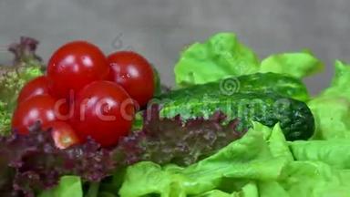 番茄，黄瓜和生菜蔬菜.. 顺时针<strong>转转</strong>盘