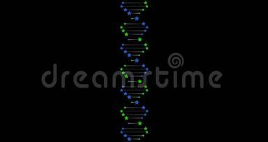 DNA标志动画。 螺旋动画。 脱氧核糖核酸的概念。 4K视频。