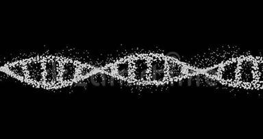 DNA标志动画。 螺旋动画。 脱氧核糖核酸的概念。 4K视频。