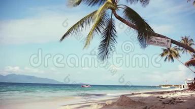 阳光明媚，<strong>天空湛蓝</strong>，海边<strong>的</strong>异国沙滩和棕榈树。 1920x1080