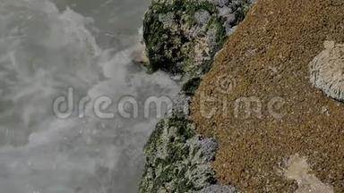海边是沙质的海岸，岩石上有浪<strong>花飞</strong>溅.