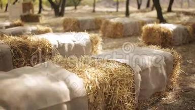 用干草椅子装饰婚礼仪式的乡村令人惊叹，夏季婚礼的概念