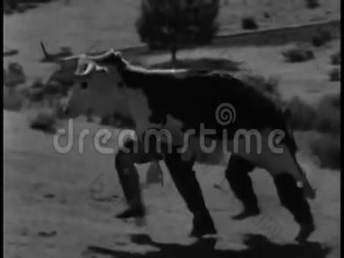 两名身穿牛皮服装的男子在风景中奔跑的侧景