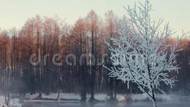 冬天森林里朦胧的早晨。 森林里白雪覆盖着树木。 河水中的薄雾