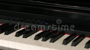 黑色电子琴配钢琴琴键.