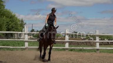 <strong>骑</strong>马。 女孩<strong>骑</strong>着漂亮的马<strong>骑</strong>在鬃毛上。