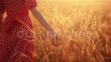美丽的年轻女孩与野花在田野上散步，在户外享受大自然的慢动作视频。 在战场上的女孩