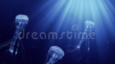 水母在深海中游泳
