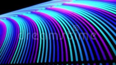 抽象3D彩虹形状优雅的线条在黑色背景上快速移动，无缝循环.. 动画。 蓝色和粉红色