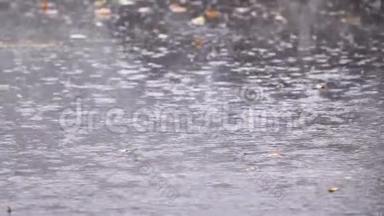 雨水滴落在沥青上的水坑里，淹没了街道。 <strong>雨季</strong>暴雨导致道路洪水，缓行
