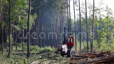 森林<strong>采伐</strong>、伐木、伐木、木材收割机、木材收割机、特种设备森林<strong>采伐</strong>