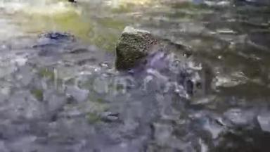 美丽的山河里的水慢慢地流过一块大石头