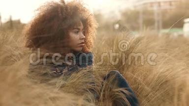黑色混血女人，大非洲卷发，在草地上，高干的秋草和日落光