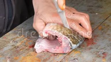 一个渔夫把一条活泼的大鱼切成碎片。 清洗淡水鱼以作进一步烹饪