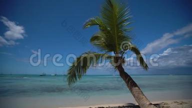 岛式热带海滩，有白沙，绿松石海水和椰子棕榈树.. 多米尼加共和国蓬塔·卡纳