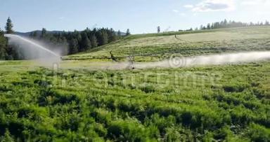 绿化作物灌溉4k.
