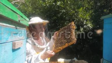 蜜蜂饲养员在蜜蜂蜂群框架内工作的多色蜂窝慢动作视频
