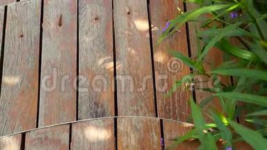 园林中弯曲切割木甲板视频