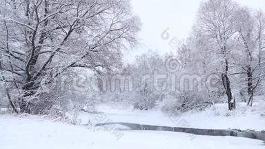 冬天的照片。 冬天的视频自然。 雪中的雪景树木..