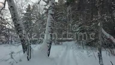 在美丽的冬季混合森林中滑雪道
