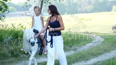一个女人和一个男孩在田野里走来走去，儿子骑着一匹<strong>小马</strong>，母亲拿着一匹<strong>小马</strong>做缰绳。 快乐