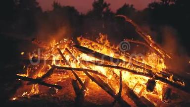 大篝火的原木燃烧在森林的夜晚。 180fps的慢<strong>速运</strong>动
