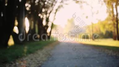 秋天<strong>时节</strong>，金色的森林景色在模糊的小路上，阳光透过树木照耀