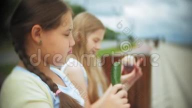 两个小女孩，苗条又胖，吃<strong>健康有害</strong>的食物，蔬菜和蛋糕坐在咖啡馆的长凳上，