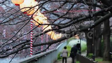 日本东京小川河游步道樱花节彩灯。