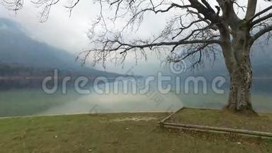 4K. 令人惊叹的博欣吉湖在雾天和树，全景。 朱利安阿尔卑斯山，特里格拉夫国家公园，斯洛文尼亚，欧洲。