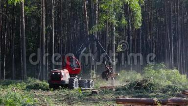 木材收割机、森林<strong>采伐</strong>、伐木、木材收割机、特种设备森林<strong>采伐</strong>