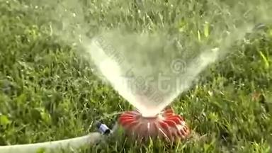 草坪上的洒水喷头喷水，放大视频画面