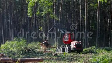 木材收割机、森林<strong>采伐</strong>、伐木、木材收割机、特种设备森林<strong>采伐</strong>