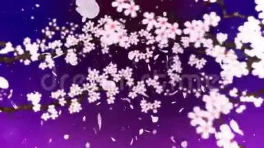 樱花盛开。 樱桃树枝。 樱花粉红色.. 樱花紫背景.. CG循环动画。