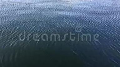 太平洋海滩海浪(1920x1080/30p，三角架)