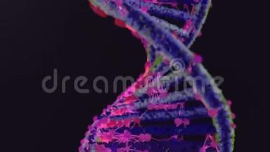 新的基因治疗/编辑治疗。
