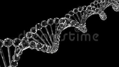 玻璃DNA循环三维动画